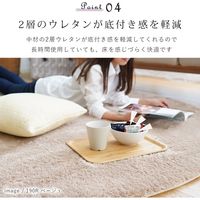 トシシミズ MS303 トシシミズ ラグ 直径1900mm ベージュ 4560254116231 1枚（直送品）