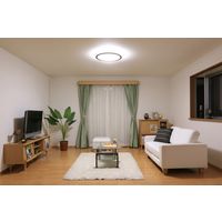 アイリスオーヤマ LEDシーリング　5.0シリーズ 木調フレーム 14畳調色 CL14DL-5.0WF-M 1台（直送品）