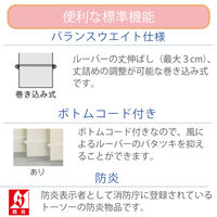 TOSO 【1cm単位】 プロ仕様 縦型ブラインド 幅1160×高さ2410mm ホワイト tf6441-116x241rr 1台（直送品）