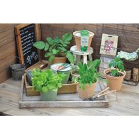 聖新陶芸 聖新 GD-41005 エコット S ラベンダー 1個（直送品）