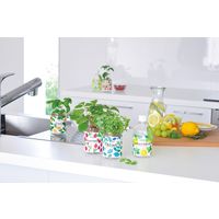 聖新陶芸 聖新 GD-86303 グリーンペット(new) レモンバーム 1個（直送品）