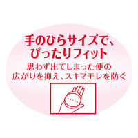 便モレ用パッド ライフリー さわやかパッド 軽い便モレ用 1パック（17枚入） ユニ・チャーム