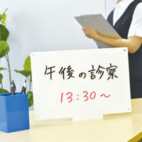 マグエックス ペーパーホワイトボード（300×200mm）1パック（2枚入）MPWH-A4