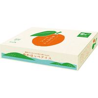 【簡易包装】アデリー　ホシフルーツ　ゆめほっぺみかんアイス　３０粒YHI-30（直送品）