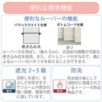 TOSO 【1cm単位】 プロ仕様 遮光 縦型ブラインド 幅60cm×高さ70cm ホワイト tf6512-60x70rr 1台（直送品）
