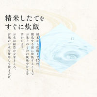 アイリスフーズ　低温製法米のおいしいごはん 国産米100% 180g　1セット（40食：10食入×4袋） 包装米飯 米加工品 パックごはん