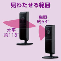 パナソニック ホームネットワークシステム/壁掛け可能/屋内・無線LANタイプ/屋内HDカメラ KX-HRC100-K 1台