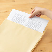 寿堂 A3大型クラフト マチ付100g フラップテープ付 03856 1箱（100枚入）03856