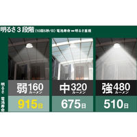 ムサシ センサーシーリングライト リモコン付 LED-165 1台