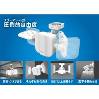 ムサシ S-220L 5Wx2灯 LEDソーラーセンサーライト 1台