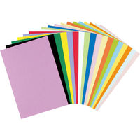 リンテック 色画用紙 ニューカラーR 四切 わかくさ NCR2434　1包(100枚入)