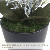 ササガワ フェイクグリーン・人工観葉植物 ブルースキニア ミニサイズ 32-8703 1個（直送品）