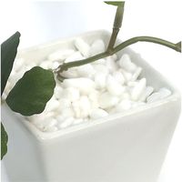 ササガワ フェイクグリーン・人工観葉植物 シュガーバイン WHT Sサイズ 32-8705 1個（直送品）