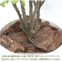 ササガワ フェイクグリーン・人工観葉植物 ボックスウッド Mサイズ 32-8710 1個（直送品）