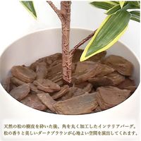 ササガワ フェイクグリーン・人工観葉植物 ソングオブインディア Mサイズ 32-8712 1個（直送品）