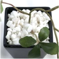 ササガワ フェイクグリーン・人工観葉植物 シュガーバイン BLK Sサイズ 32-8706 1個（直送品）