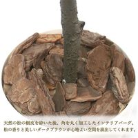 ササガワ フェイクグリーン・人工観葉植物 オリーブ Mサイズ 32-8713 1個（直送品）