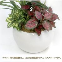 ササガワ フェイクグリーン・人工観葉植物 モンステラ寄植え Sサイズ 32-8708 1個（直送品）