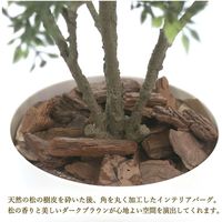 ササガワ フェイクグリーン・人工観葉植物 ティーリーフ Mサイズ 32-8714 1個（直送品）