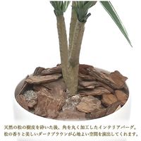 ササガワ フェイクグリーン・人工観葉植物 ユッカ Mサイズ 32-8716 1個（直送品）