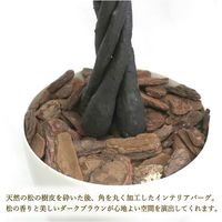 ササガワ フェイクグリーン・人工観葉植物 パキラ Lサイズ 32-8721 1個（直送品）