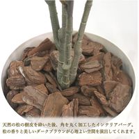 ササガワ フェイクグリーン・人工観葉植物 アルテシマ Mサイズ 32-8715 1個（直送品）