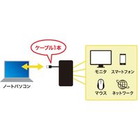 サンワサプライ USB3.2 Gen1モバイル ドッキングステーション USB-3H131BK 1個