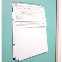 コクヨ マグネットバー 強力タイプ クリヤー 200×21.5mm ピンク マク-T201NP 1セット（10本）