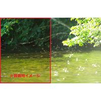 サングラス ブラック 男女兼用 ビビッドビジョン 10490 2個 トレードワン（直送品）