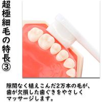 歯ぐきにやさしいシニア用歯ブラシ モルビドオーラルケア 6本セット mo-002 1セット(6本セット(カラーアソート))（直送品）