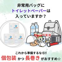 アスト 白馬車業務用ソフト1R100mシングル 320074 1箱(60ロール入)