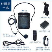 ポータブル拡声器 ハンズフリー/USB充電/リチウム電池内蔵/FMラジオ搭載/MP3再生 F.R.C NX-BV10 1個