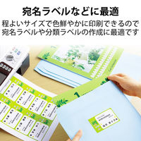 エレコム ラベルクッキリインクジェット専用紙10面付/200枚 EDT-TI10 1袋(200枚入)