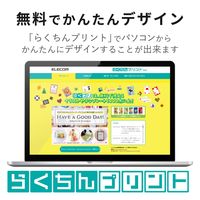 エレコム 光沢ハガキ用紙/写真用/50枚入 EJH-GANH50 1袋（50枚入）