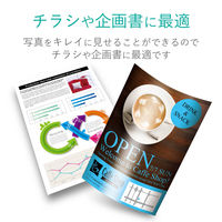 エレコム デジ得用紙光沢紙（薄手）A4サイズ・100枚 EJK-GUA4100 1袋（100枚）（直送品）