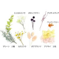 ニチリウ永瀬 ハーバリウムフルセット MIX 4933136872134 1個（直送品）