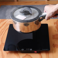 サンコー　Mサイズピザにも対応！「フードウォーマープレートミニ」（直送品）