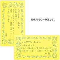 一筆箋 イロガミ 無罫 トリ柄 黄 2柄×25枚入 20557006 1セット（3冊） デザインフィル（直送品）