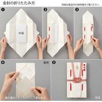 デザインフィル 金封 結婚祝 折形 菱形 1枚入（中袋付） 赤 25491006 1セット（2個）