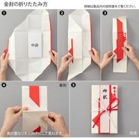 デザインフィル 金封 お祝 折形 三角 1枚入(中袋付) 赤 25495006 1セット(2パック)