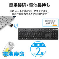 ワイヤレスキーボード 無線 フルサイズ 薄型 抗菌 メンブレン ブラック TK-FDM110TKBK エレコム 1個（直送品）