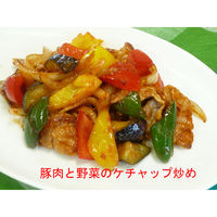 ハグルマ 有機栽培トマト使用 食塩不使用 ヘルシーケチャップ 290g 2本