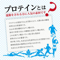 オリヒロ アクティブプロテイン100 18日分 360g プロテイン