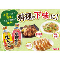 エスビー食品 S＆B お徳用おろし生しょうが 160g 1個