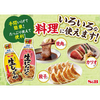 エスビー食品 S＆B お徳用おろし生しょうが 160g 2個