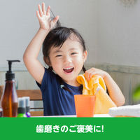 ロッテ キシリトールタブレット 1セット（3袋入）