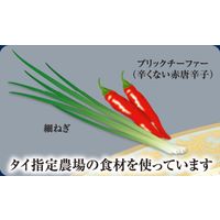 ヤマモリ タイカレー プーパッポン 160g1セット（3個）