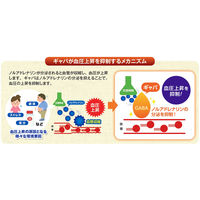 【機能性表示食品】ヤマモリ ギャバしょうゆ 450ml 3個