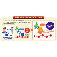 【機能性表示食品】ヤマモリ ギャバしょうゆ 200ml 3個