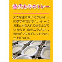 テーブルマーク　麦ごはん 160g　1セット（24食：3食入×8個）　包装米飯 パックごはん